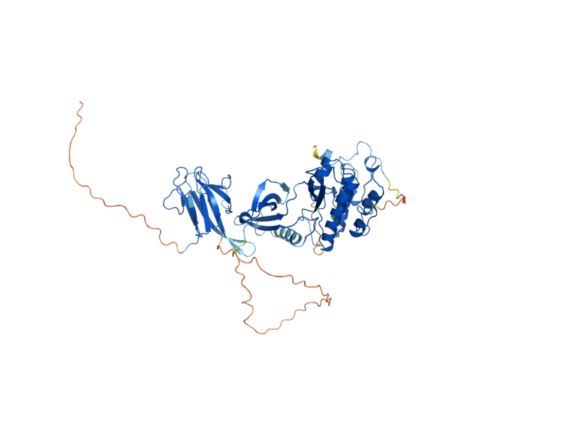 AlphaFold predicted structure of DUN1