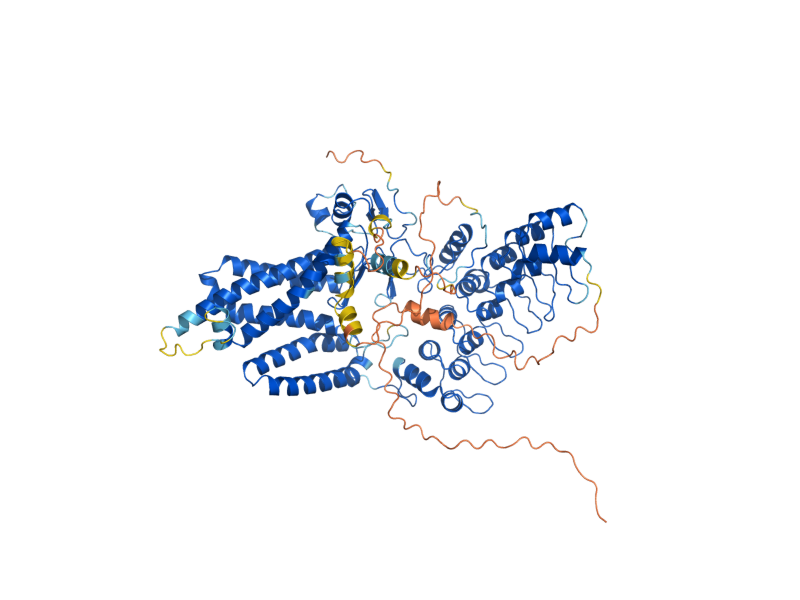 AlphaFold predicted structure of AKR1