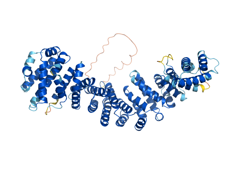AlphaFold predicted structure of BEM4