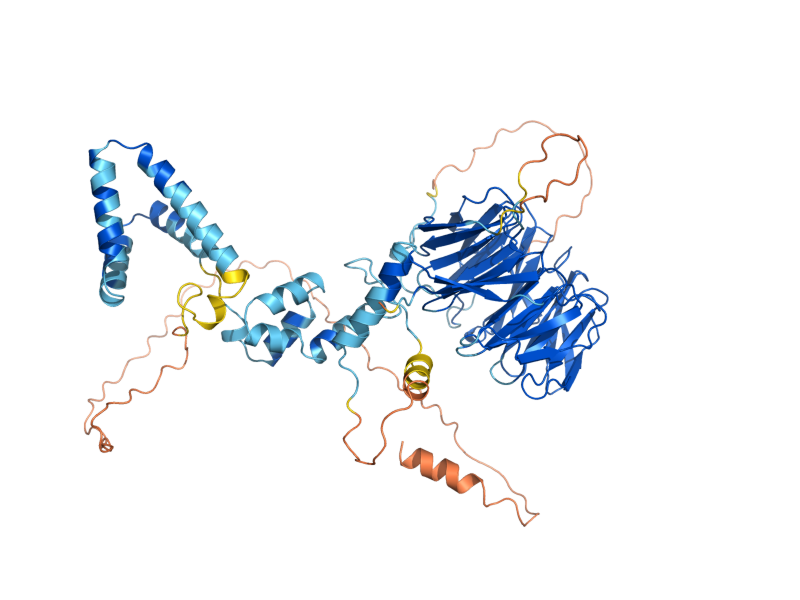 AlphaFold predicted structure of MET30
