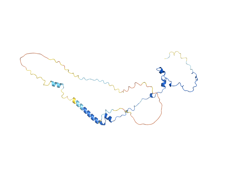 AlphaFold predicted structure of STM1