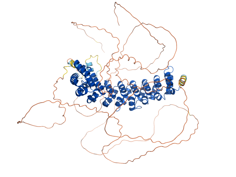 AlphaFold predicted structure of MPT5