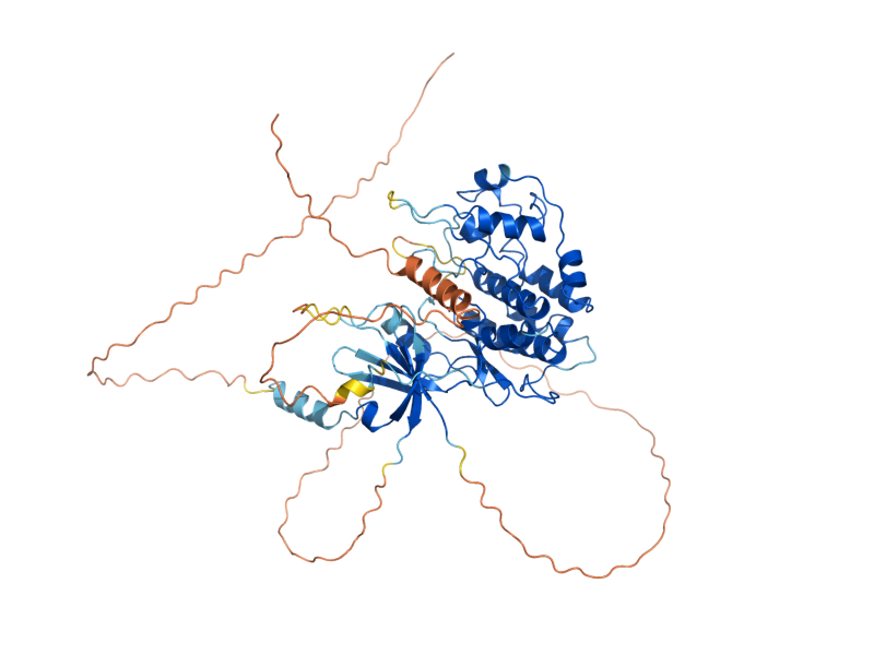 AlphaFold predicted structure of SSN3