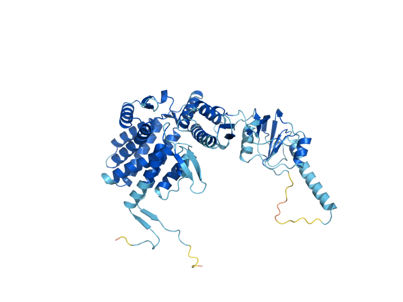 AlphaFold predicted structure of CCT2