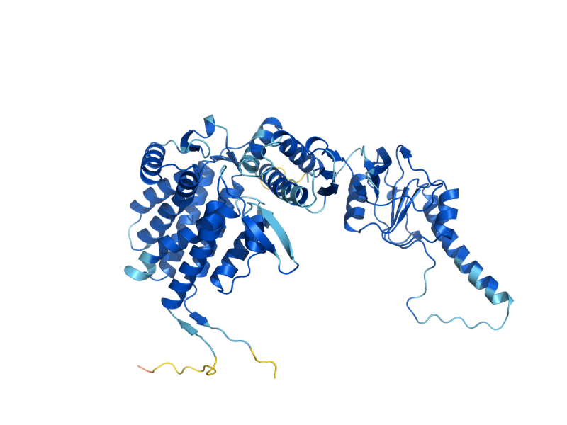 AlphaFold predicted structure of CCT3