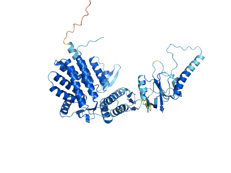 AlphaFold predicted structure of CCT4