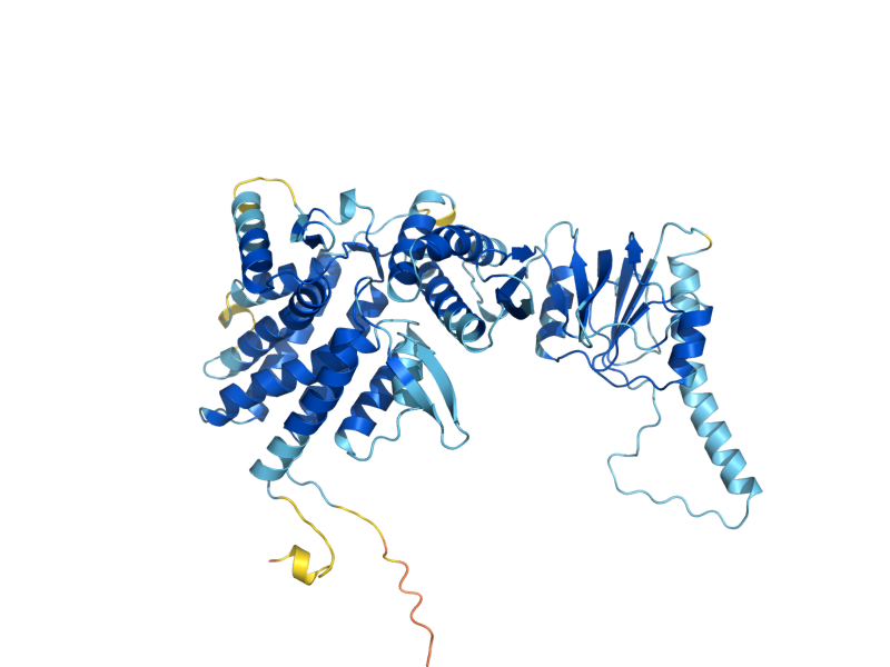 AlphaFold predicted structure of CCT6