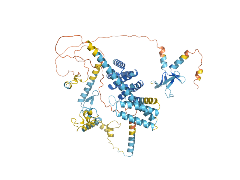 AlphaFold predicted structure of PCF11