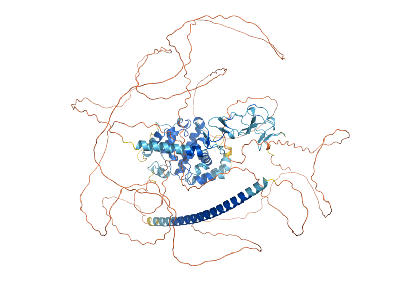 AlphaFold predicted structure of RGA1