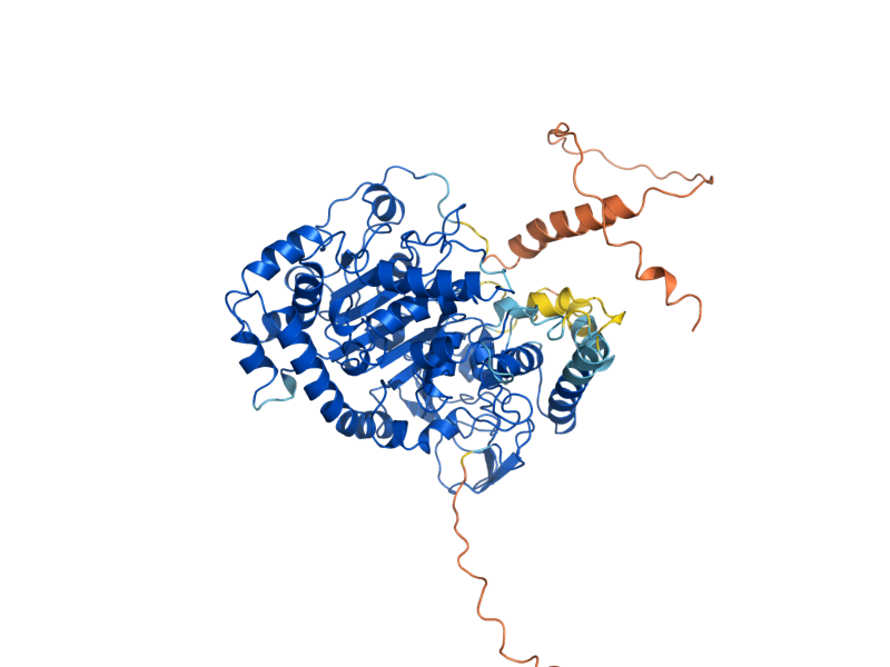 AlphaFold predicted structure of PLB1
