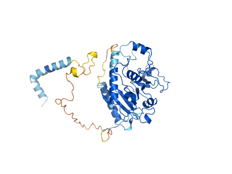 AlphaFold predicted structure of MNN9