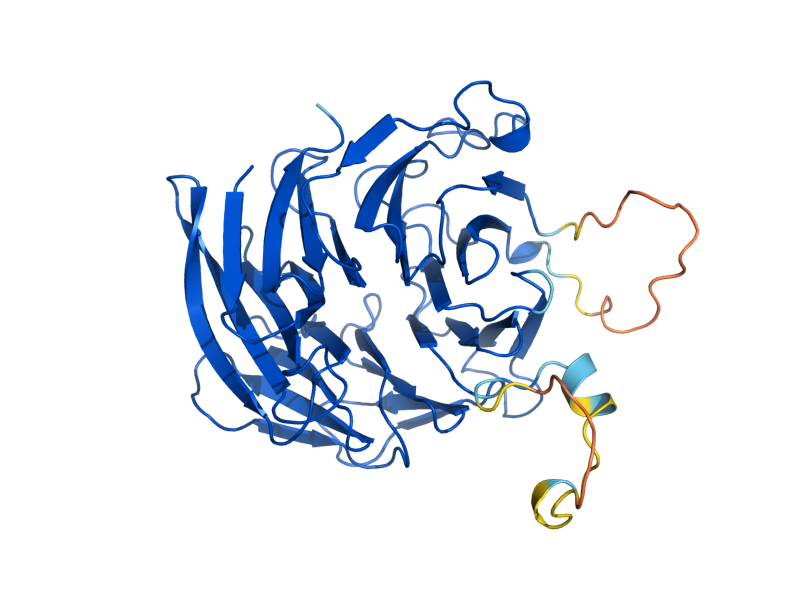 AlphaFold predicted structure of PEX7