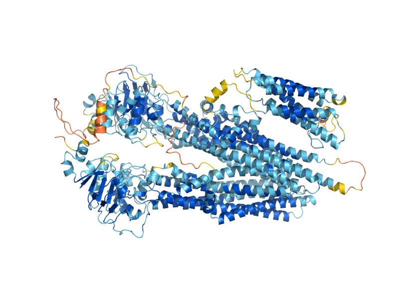 AlphaFold predicted structure of YCF1