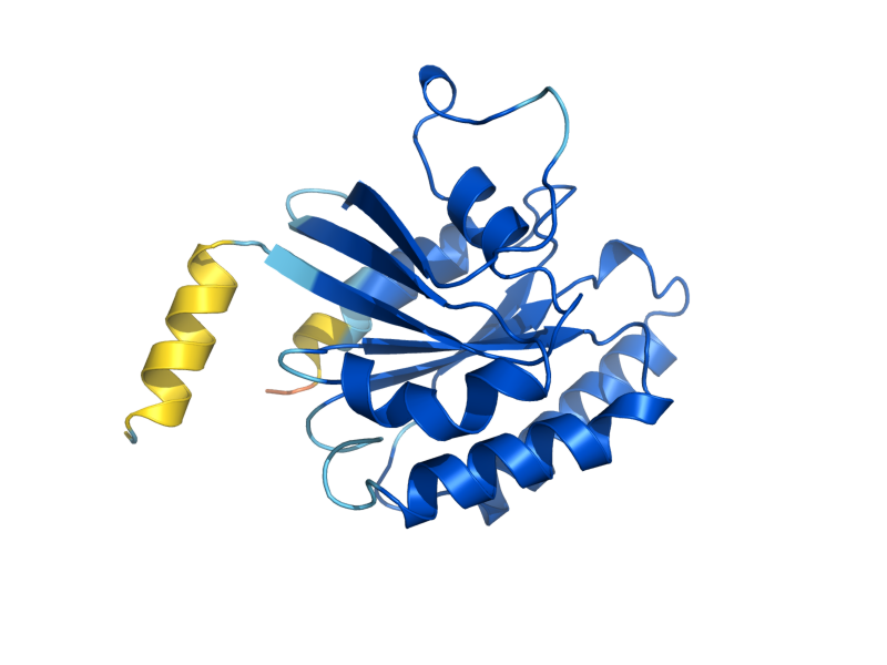 AlphaFold predicted structure of CIN4