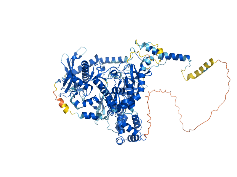 AlphaFold predicted structure of DSS1