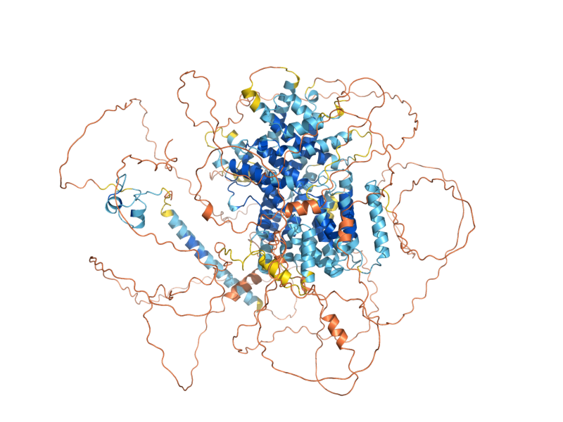 AlphaFold predicted structure of CAT8