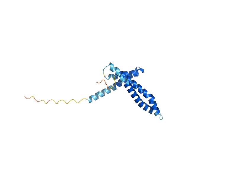 AlphaFold predicted structure of TIM17