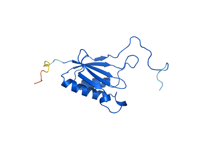 AlphaFold predicted structure of RPS14B