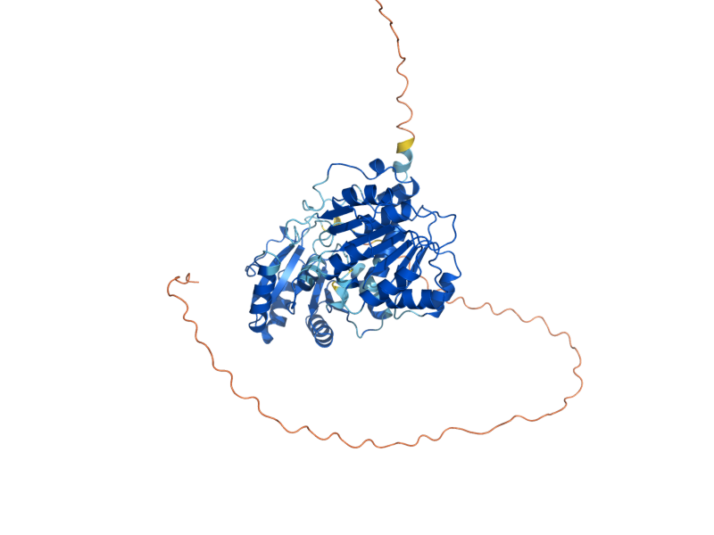 AlphaFold predicted structure of DHH1