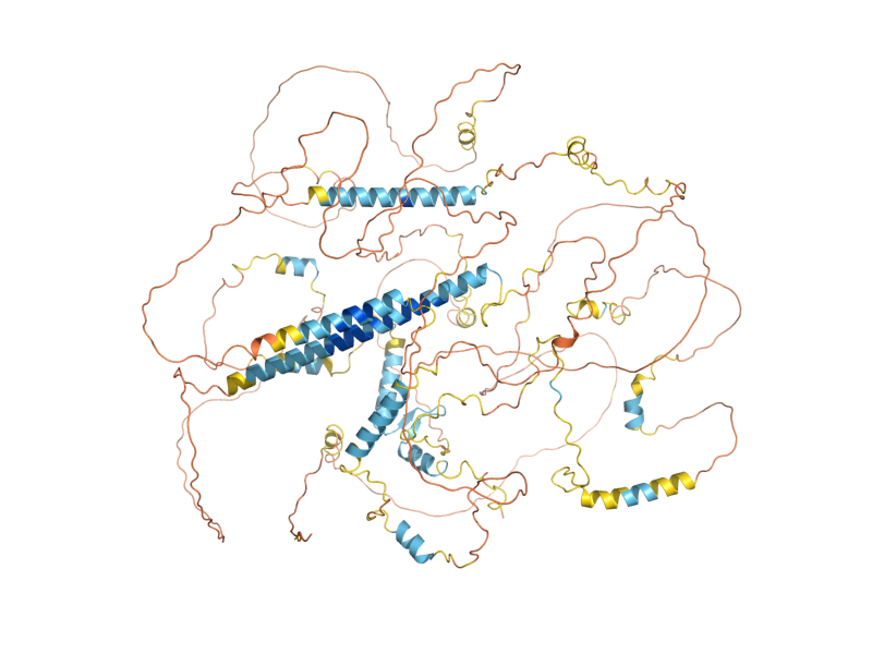 AlphaFold predicted structure of IFH1