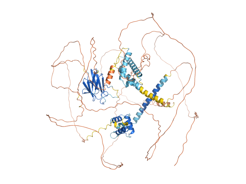 AlphaFold predicted structure of FHL1
