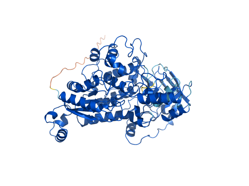 AlphaFold predicted structure of ILV3