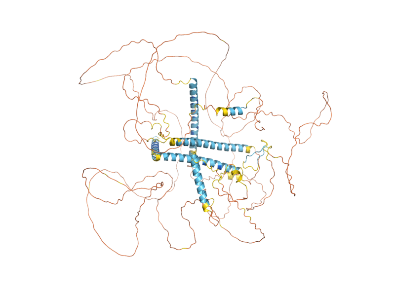 AlphaFold predicted structure of EPO1