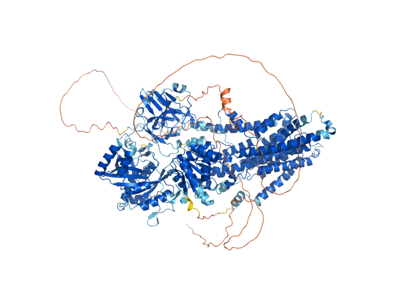 AlphaFold predicted structure of DRS2