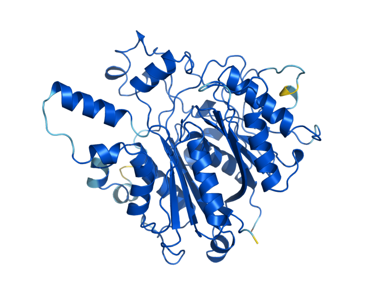 AlphaFold predicted structure of CEM1