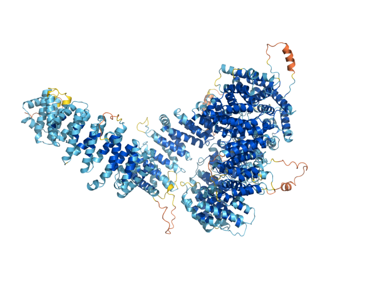 AlphaFold predicted structure of LAA1