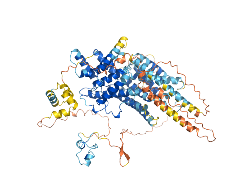 AlphaFold predicted structure of YJL206C