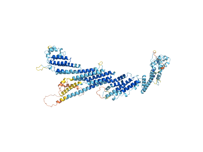 AlphaFold predicted structure of RCY1