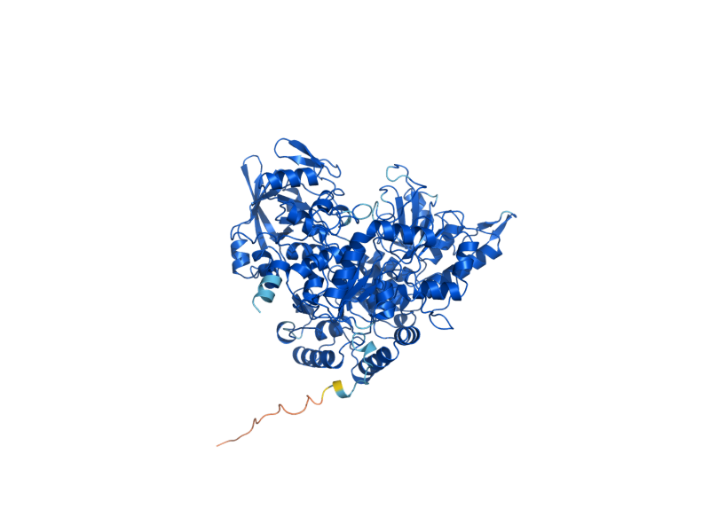 AlphaFold predicted structure of ACO2