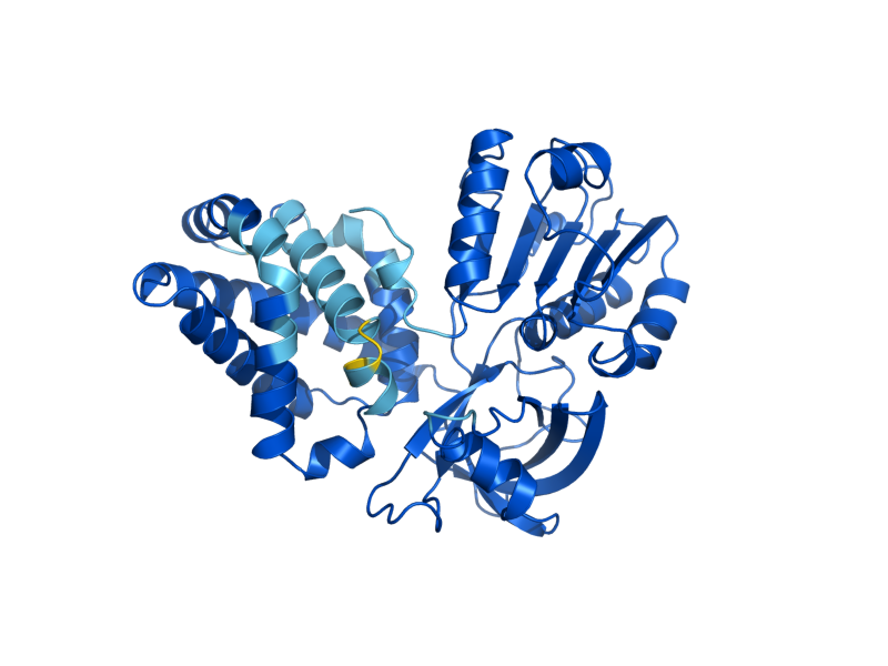 AlphaFold predicted structure of YHB1