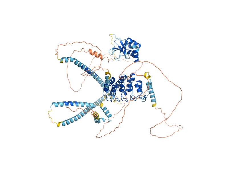 AlphaFold predicted structure of MBP1