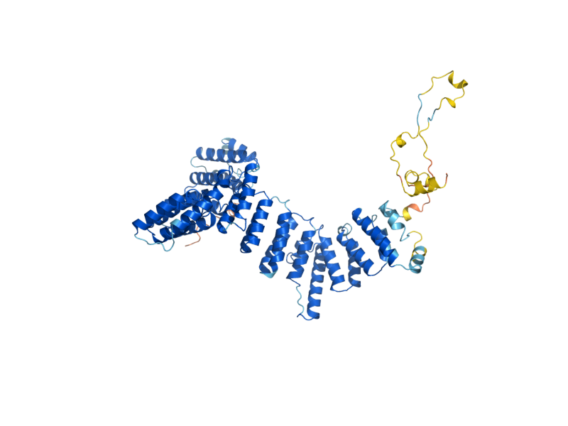AlphaFold predicted structure of PRP39