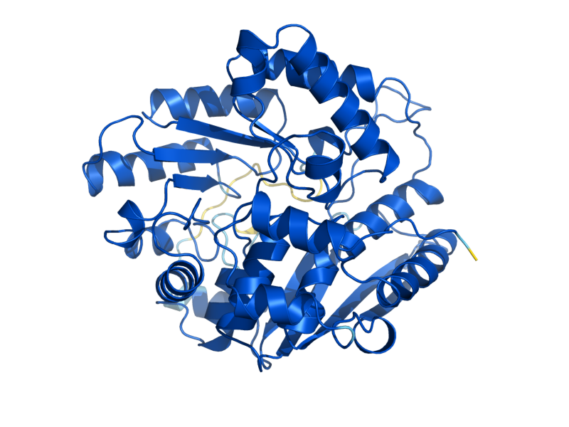 AlphaFold predicted structure of NPT1
