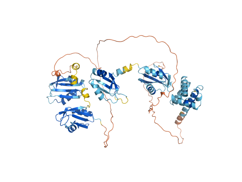 AlphaFold predicted structure of PES4