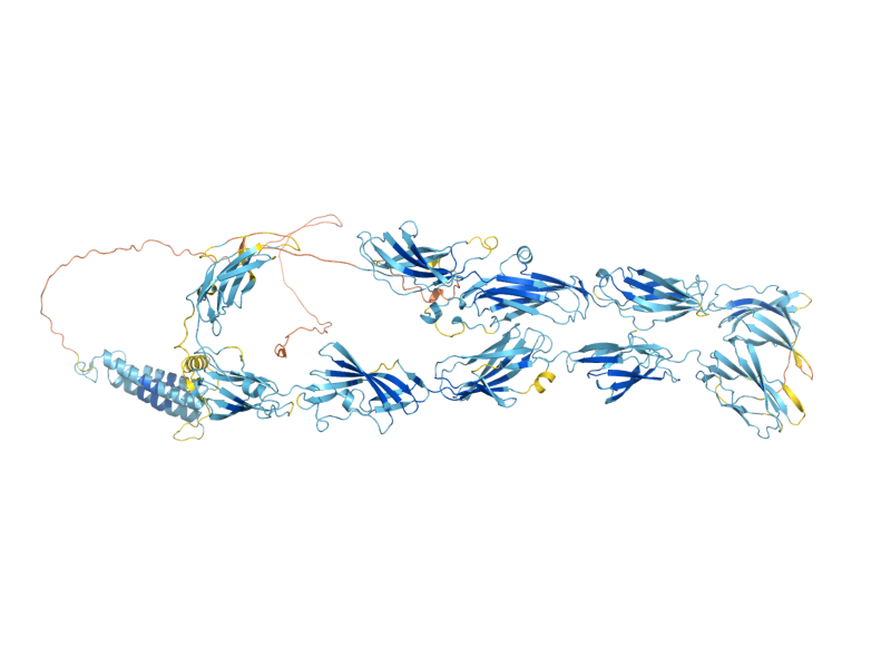 AlphaFold predicted structure of POM152