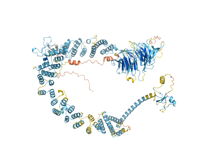 AlphaFold predicted structure of VPS8