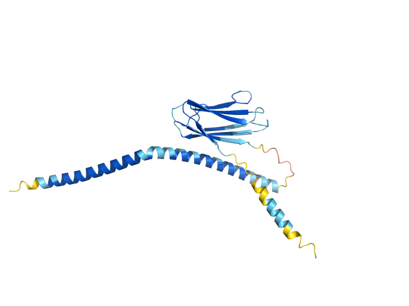 AlphaFold predicted structure of ERP2
