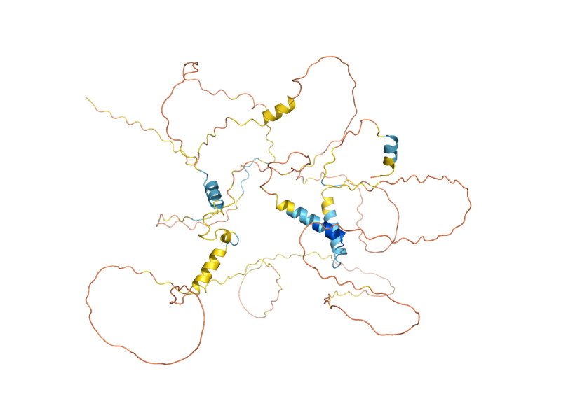 AlphaFold predicted structure of NUP60