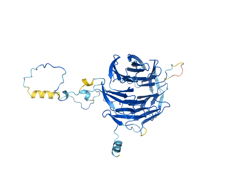 AlphaFold predicted structure of SWD1