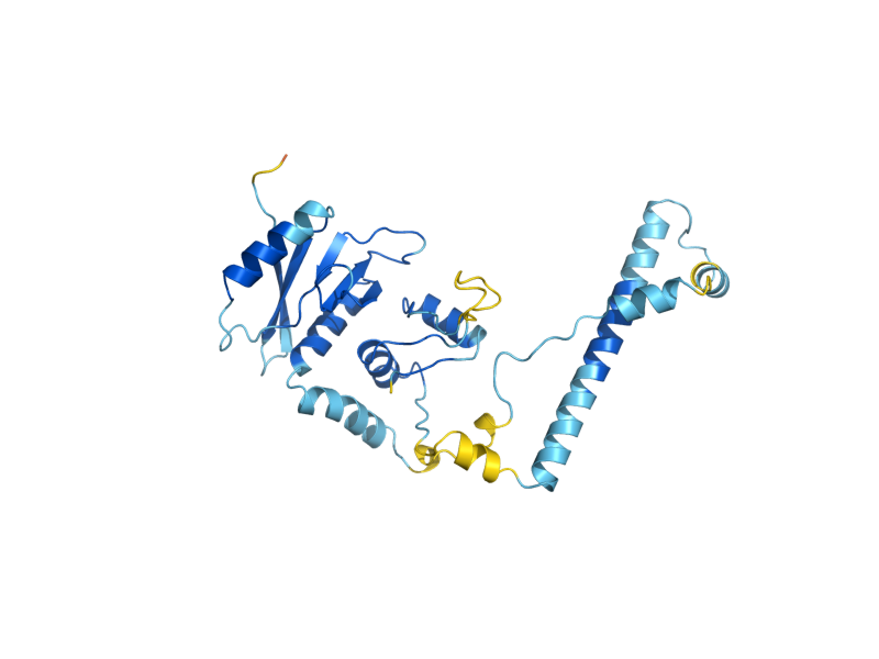 AlphaFold predicted structure of SEN34