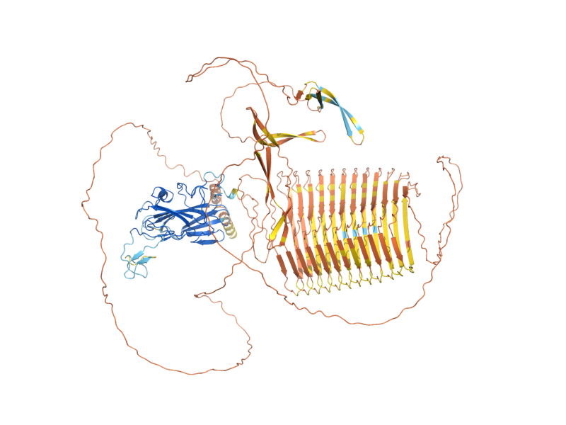 AlphaFold predicted structure of FLO9