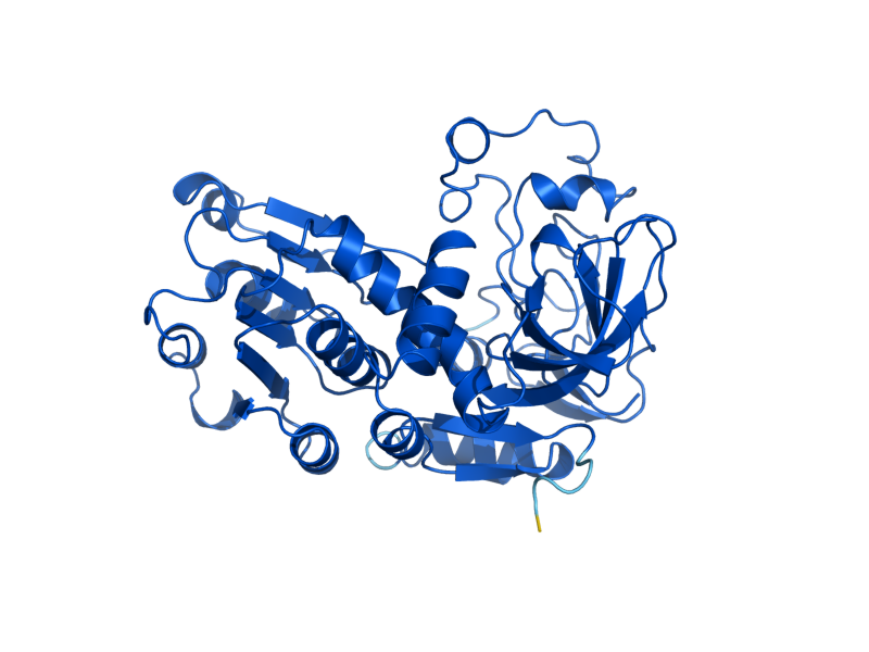 AlphaFold predicted structure of BDH1