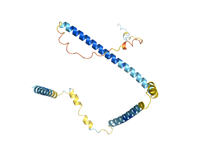 AlphaFold predicted structure of ECM1