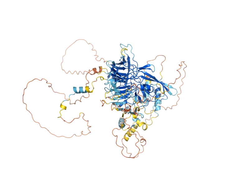 AlphaFold predicted structure of GPB2