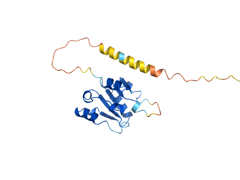 AlphaFold predicted structure of PEX22