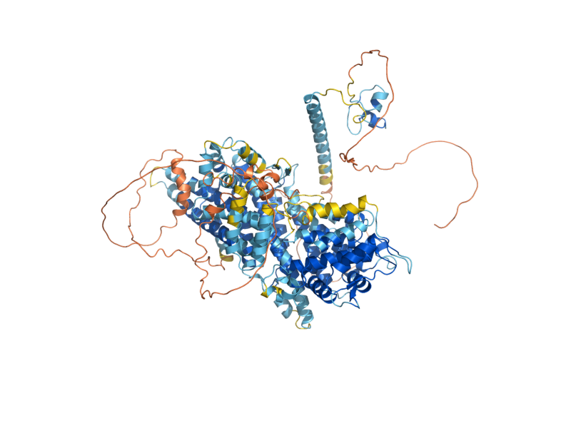 AlphaFold predicted structure of OAF1